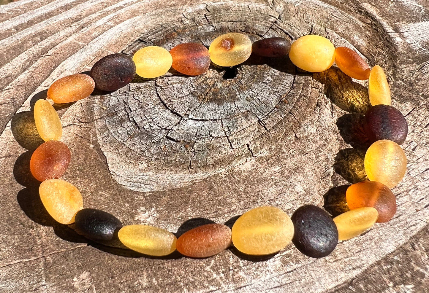 CLEARANCE - Baltic Amber Bracelet for Adults
