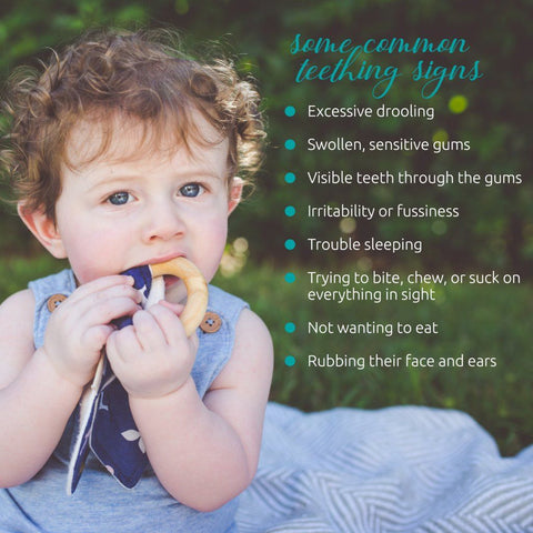 Image of Sweetbottoms Naturals Organic Teething Oil Herbal Remedy Sweetbottoms Naturals 
