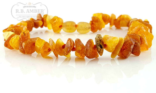 CLEARANCE - Baltic Amber Pet Collar - Sweetbottoms BoutiqueR.B. Amber Jewelry