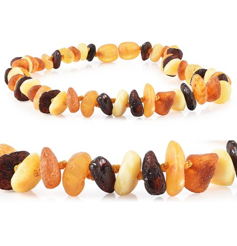 Image of CLEARANCE - Baltic Amber Pet Collar