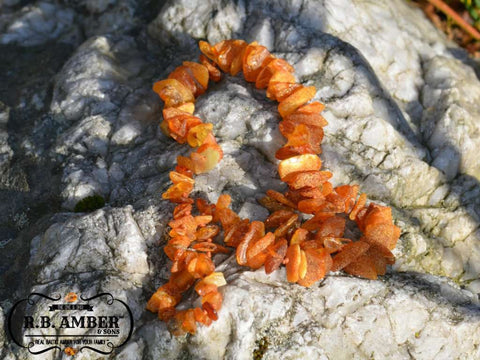 Image of Baltic Amber Pet Collar Pet Jewelry R.B. Amber Jewelry 