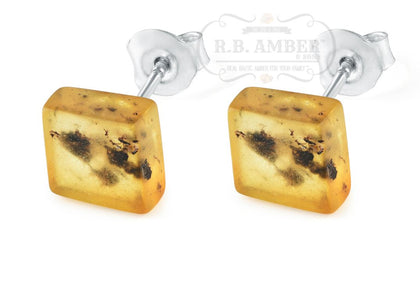 Baltic Amber Square Stud Earrings Jewelry R.B. Amber Jewelry Green 