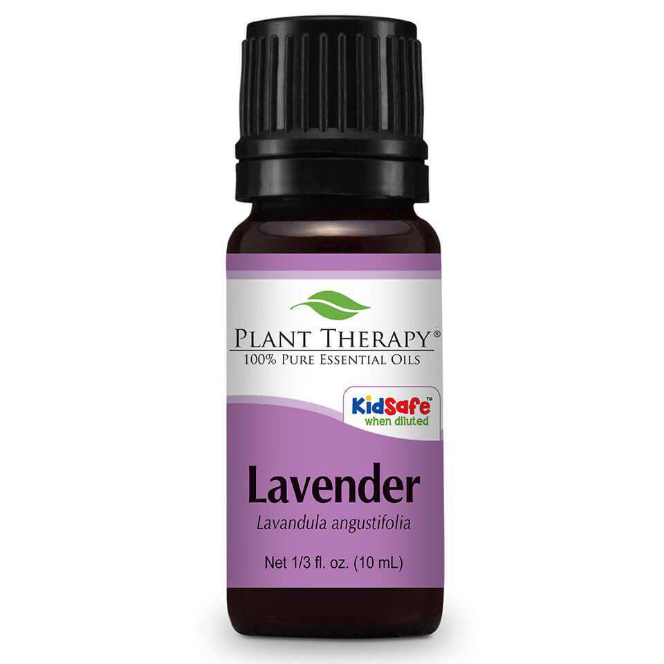 Lavender (10 ml) - Plant Therapy 100% Pure Essential Oils – Sweetbottoms  Boutique